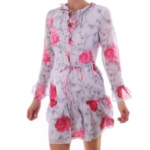 ted baker eriin babylon ruffle dress